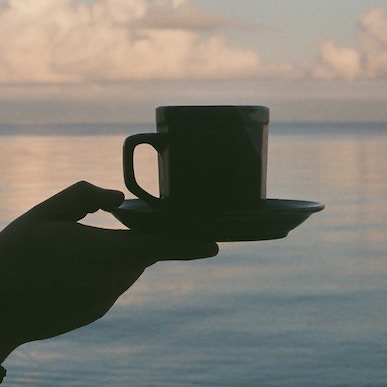 herbal tea